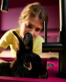 Kuhinjska armatura Schock TALIA 536120S Black